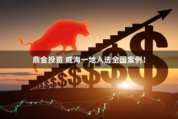 鼎金投资 威海一地入选全国案例！