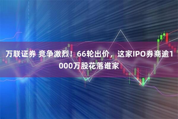 万联证券 竞争激烈！66轮出价，这家IPO券商逾1000万股花落谁家