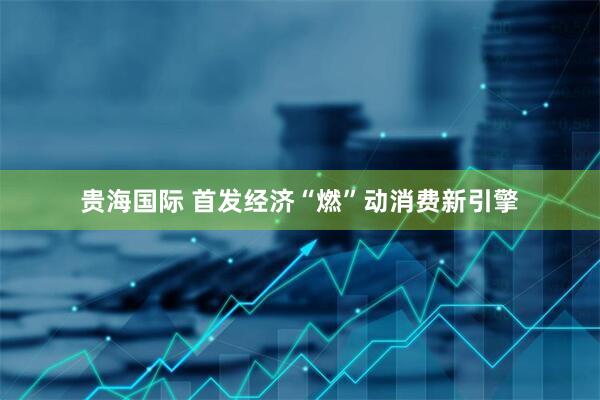 贵海国际 首发经济“燃”动消费新引擎