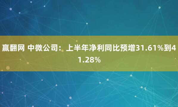 赢翻网 中微公司：上半年净利同比预增31.61%到41.28%