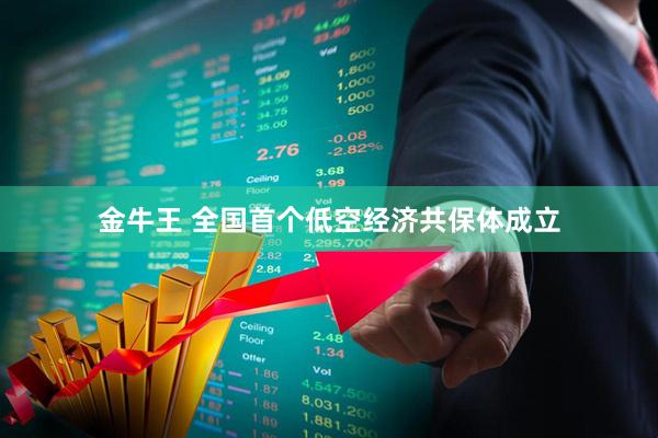 金牛王 全国首个低空经济共保体成立