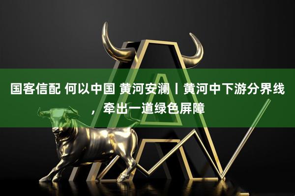 国客信配 何以中国 黄河安澜丨黄河中下游分界线，牵出一道绿色屏障