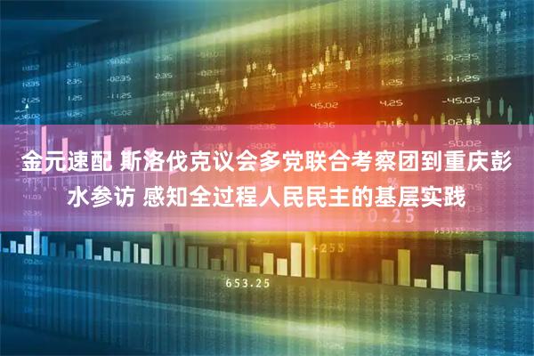 金元速配 斯洛伐克议会多党联合考察团到重庆彭水参访 感知全过程人民民主的基层实践