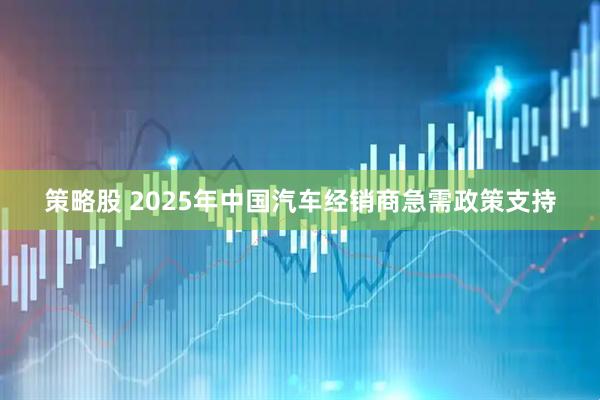 策略股 2025年中国汽车经销商急需政策支持