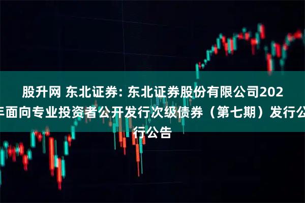 股升网 东北证券: 东北证券股份有限公司2025年面向专业投资者公开发行次级债券（第七期）发行公告
